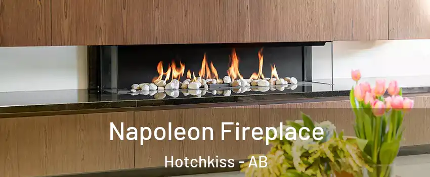  Napoleon Fireplace Hotchkiss - AB