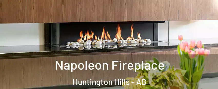  Napoleon Fireplace Huntington Hills - AB