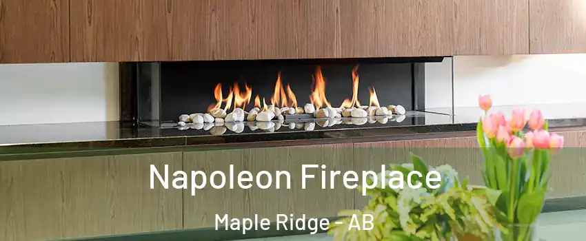  Napoleon Fireplace Maple Ridge - AB