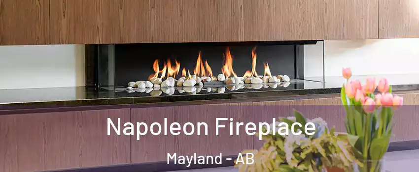  Napoleon Fireplace Mayland - AB