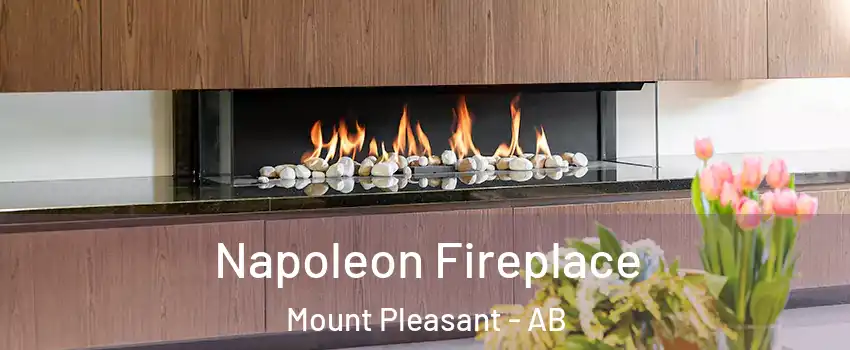  Napoleon Fireplace Mount Pleasant - AB