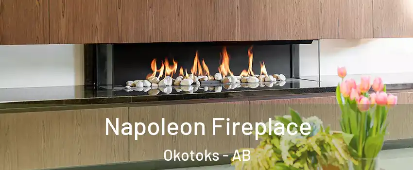  Napoleon Fireplace Okotoks - AB
