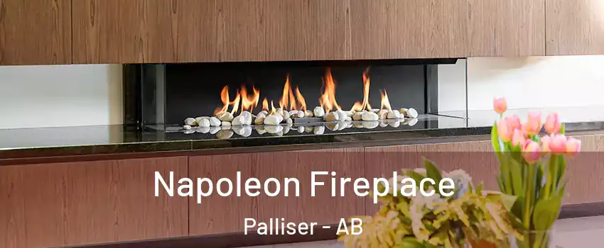  Napoleon Fireplace Palliser - AB