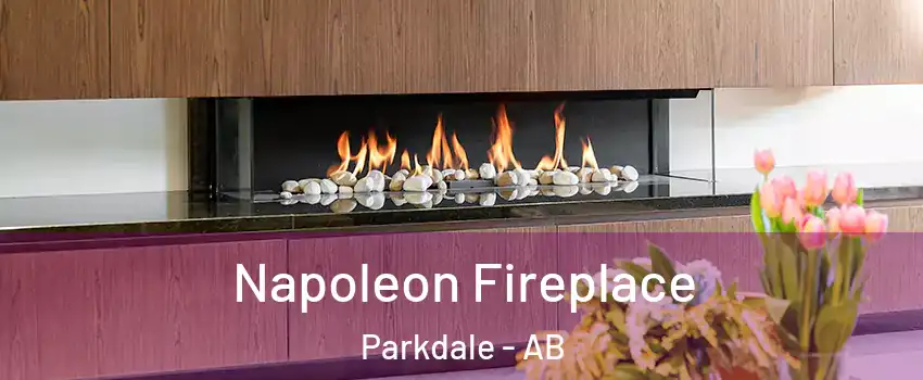  Napoleon Fireplace Parkdale - AB
