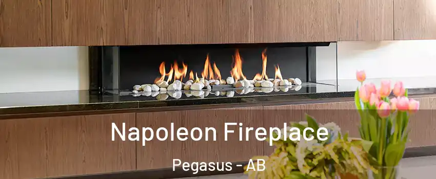  Napoleon Fireplace Pegasus - AB