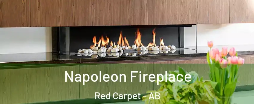  Napoleon Fireplace Red Carpet - AB