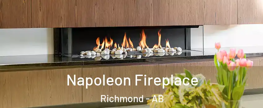  Napoleon Fireplace Richmond - AB