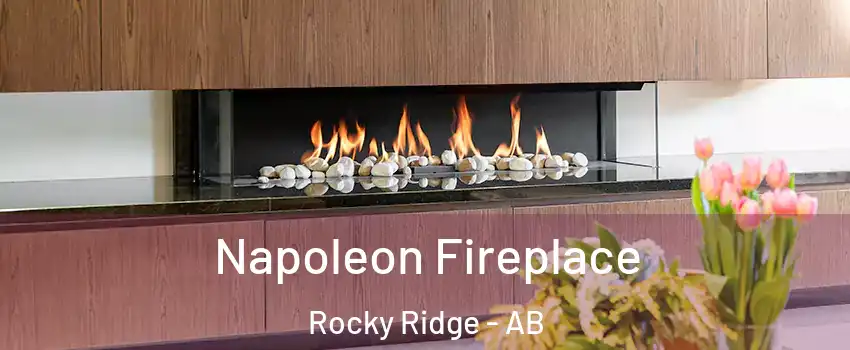  Napoleon Fireplace Rocky Ridge - AB