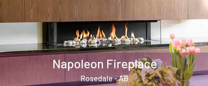  Napoleon Fireplace Rosedale - AB