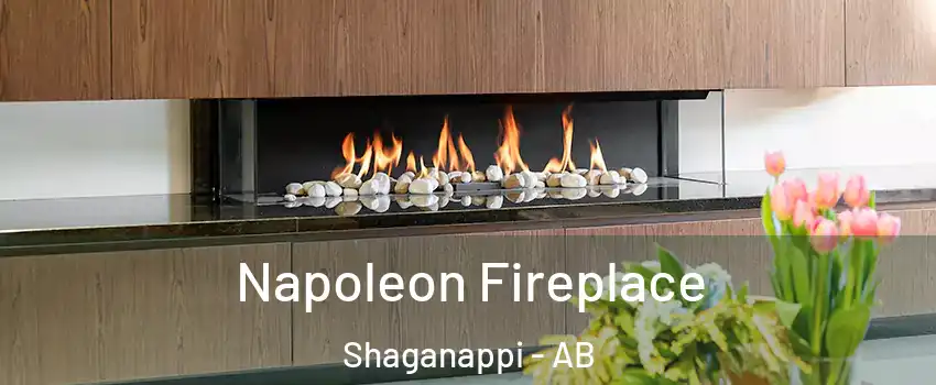  Napoleon Fireplace Shaganappi - AB