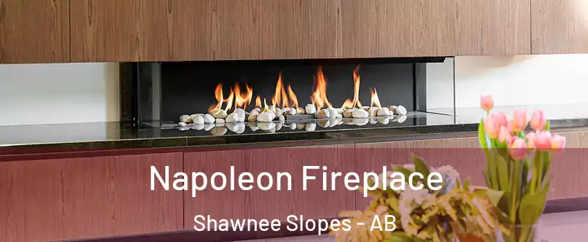  Napoleon Fireplace Shawnee Slopes - AB