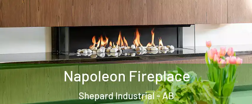  Napoleon Fireplace Shepard Industrial - AB