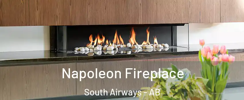  Napoleon Fireplace South Airways - AB