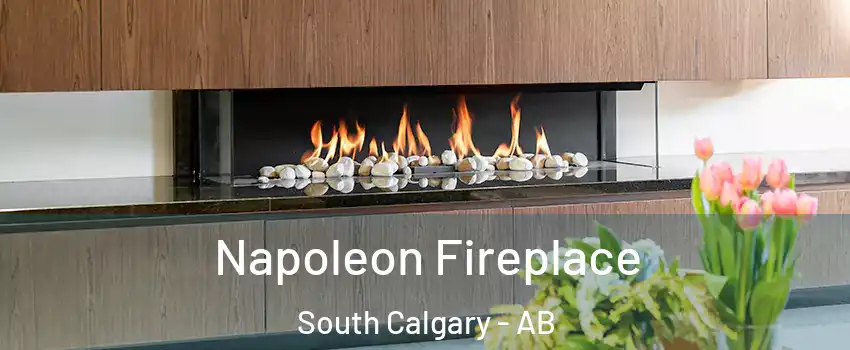  Napoleon Fireplace South Calgary - AB