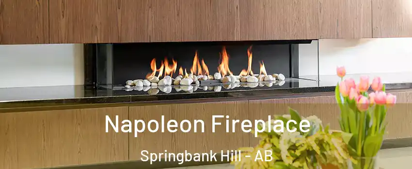  Napoleon Fireplace Springbank Hill - AB
