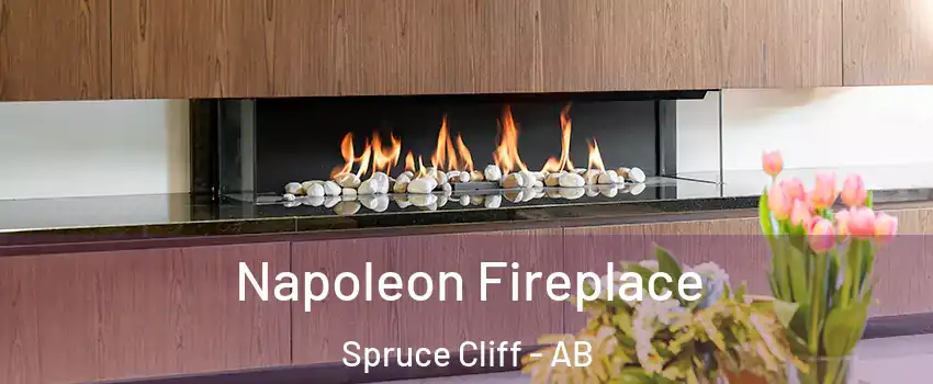  Napoleon Fireplace Spruce Cliff - AB