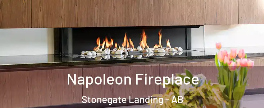  Napoleon Fireplace Stonegate Landing - AB