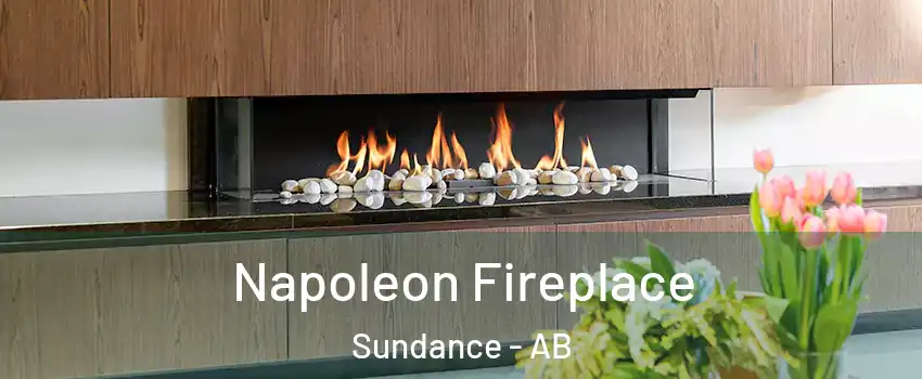  Napoleon Fireplace Sundance - AB
