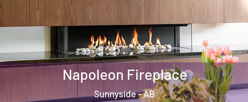  Napoleon Fireplace Sunnyside - AB