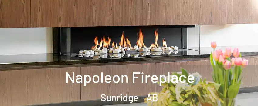  Napoleon Fireplace Sunridge - AB