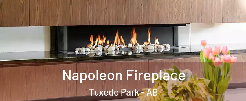  Napoleon Fireplace Tuxedo Park - AB