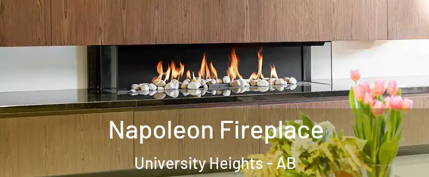  Napoleon Fireplace University Heights - AB