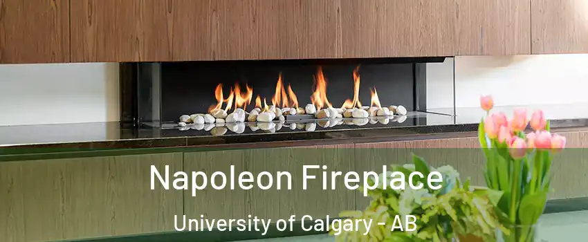  Napoleon Fireplace University of Calgary - AB
