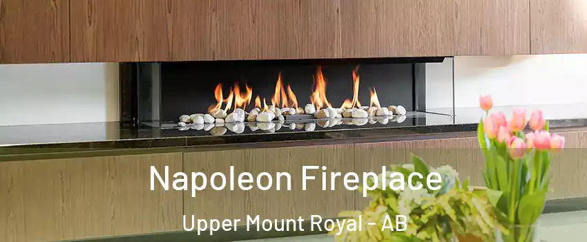  Napoleon Fireplace Upper Mount Royal - AB