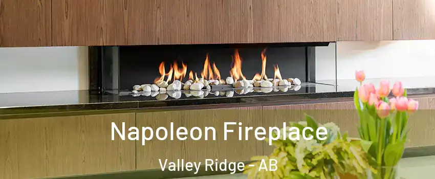  Napoleon Fireplace Valley Ridge - AB