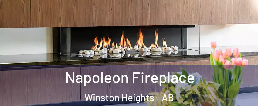  Napoleon Fireplace Winston Heights - AB