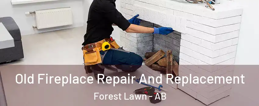  Old Fireplace Repair And Replacement Forest Lawn - AB