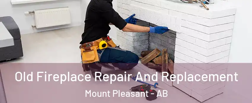  Old Fireplace Repair And Replacement Mount Pleasant - AB