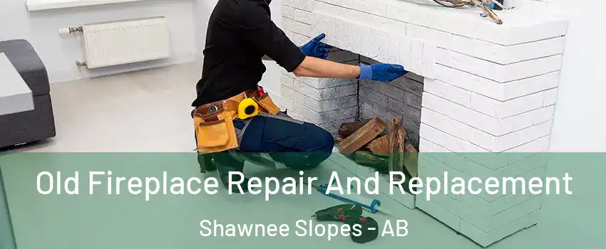  Old Fireplace Repair And Replacement Shawnee Slopes - AB