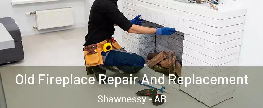  Old Fireplace Repair And Replacement Shawnessy - AB