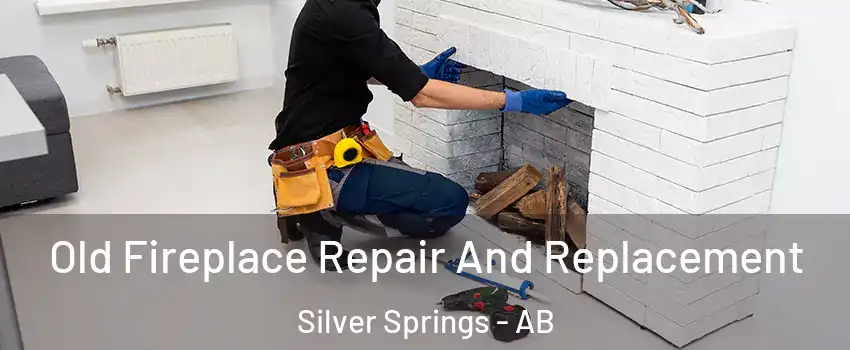  Old Fireplace Repair And Replacement Silver Springs - AB