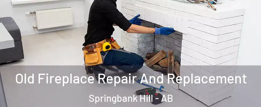  Old Fireplace Repair And Replacement Springbank Hill - AB