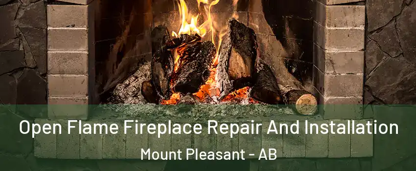  Open Flame Fireplace Repair And Installation Mount Pleasant - AB