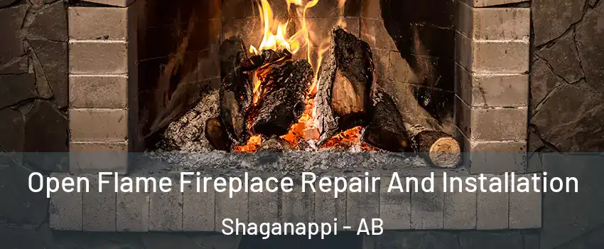  Open Flame Fireplace Repair And Installation Shaganappi - AB