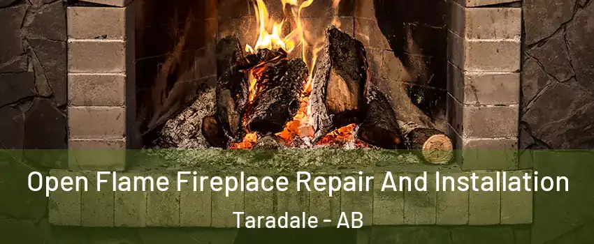  Open Flame Fireplace Repair And Installation Taradale - AB