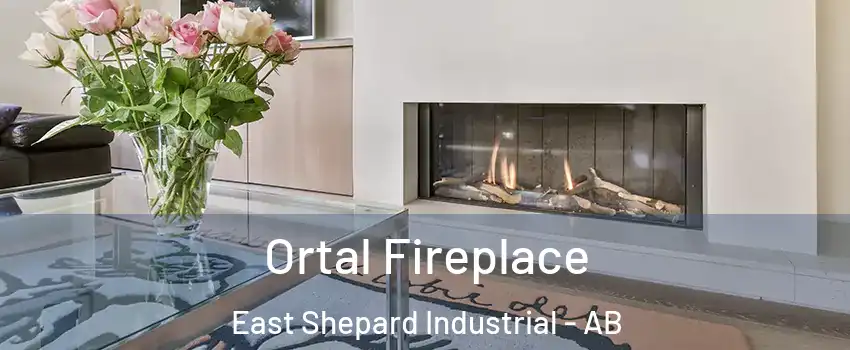 Ortal Fireplace East Shepard Industrial - AB