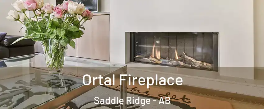 Ortal Fireplace Saddle Ridge - AB