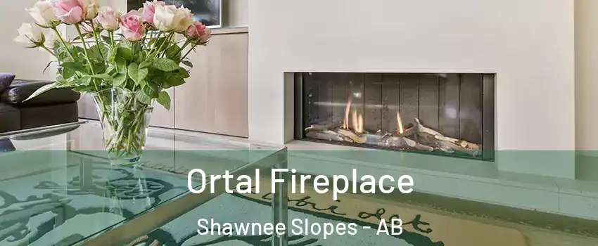Ortal Fireplace Shawnee Slopes - AB