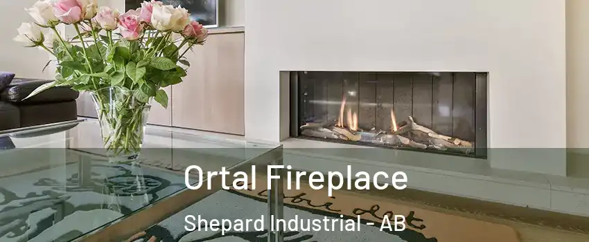 Ortal Fireplace Shepard Industrial - AB