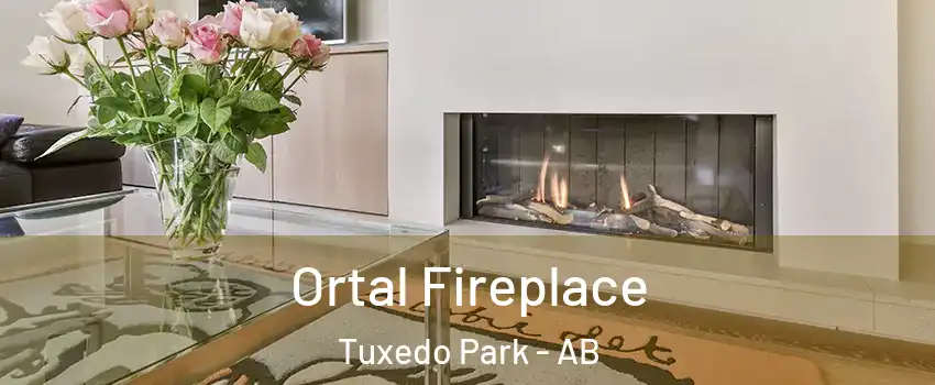 Ortal Fireplace Tuxedo Park - AB