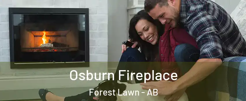  Osburn Fireplace Forest Lawn - AB