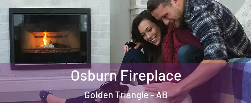  Osburn Fireplace Golden Triangle - AB