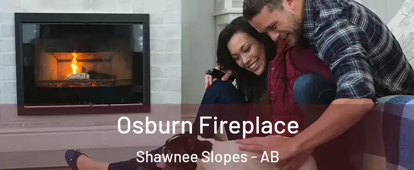  Osburn Fireplace Shawnee Slopes - AB