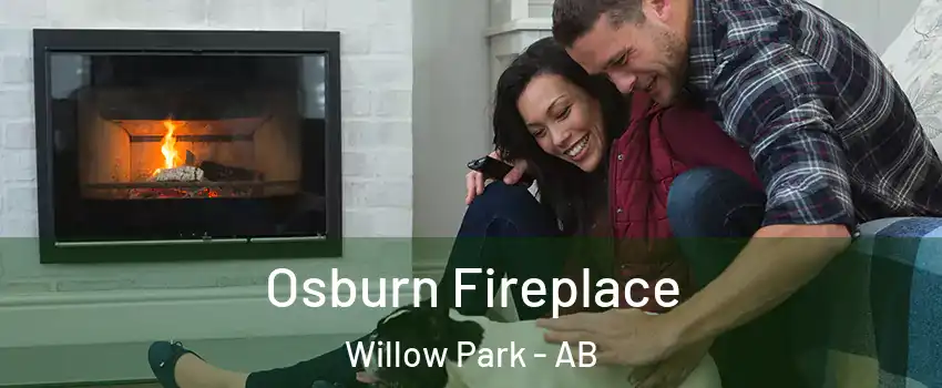  Osburn Fireplace Willow Park - AB