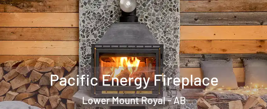  Pacific Energy Fireplace Lower Mount Royal - AB