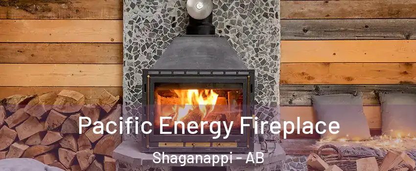  Pacific Energy Fireplace Shaganappi - AB
